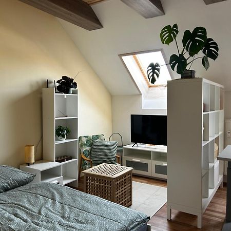 Utulny Apartman V Centre Kezmarku 盖兹马洛克 外观 照片
